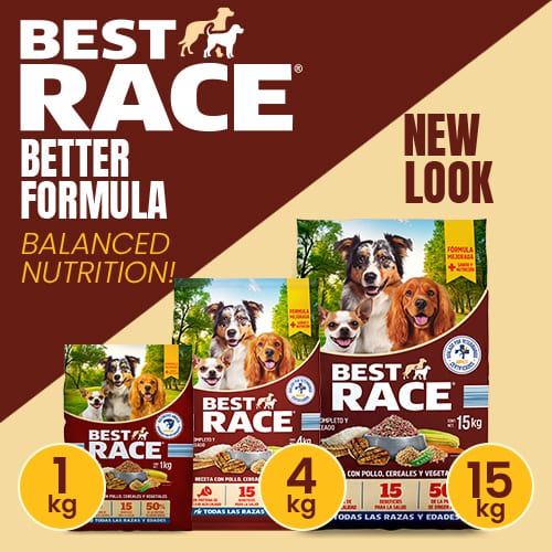 banner-home-mobile-bestrace-eng01