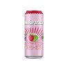 Bebida Nebraska Sabor Fresa-Kiwi (460ml)