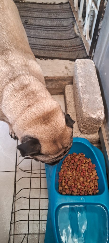 Imagen #1 de Evelyn Figueroa galeas