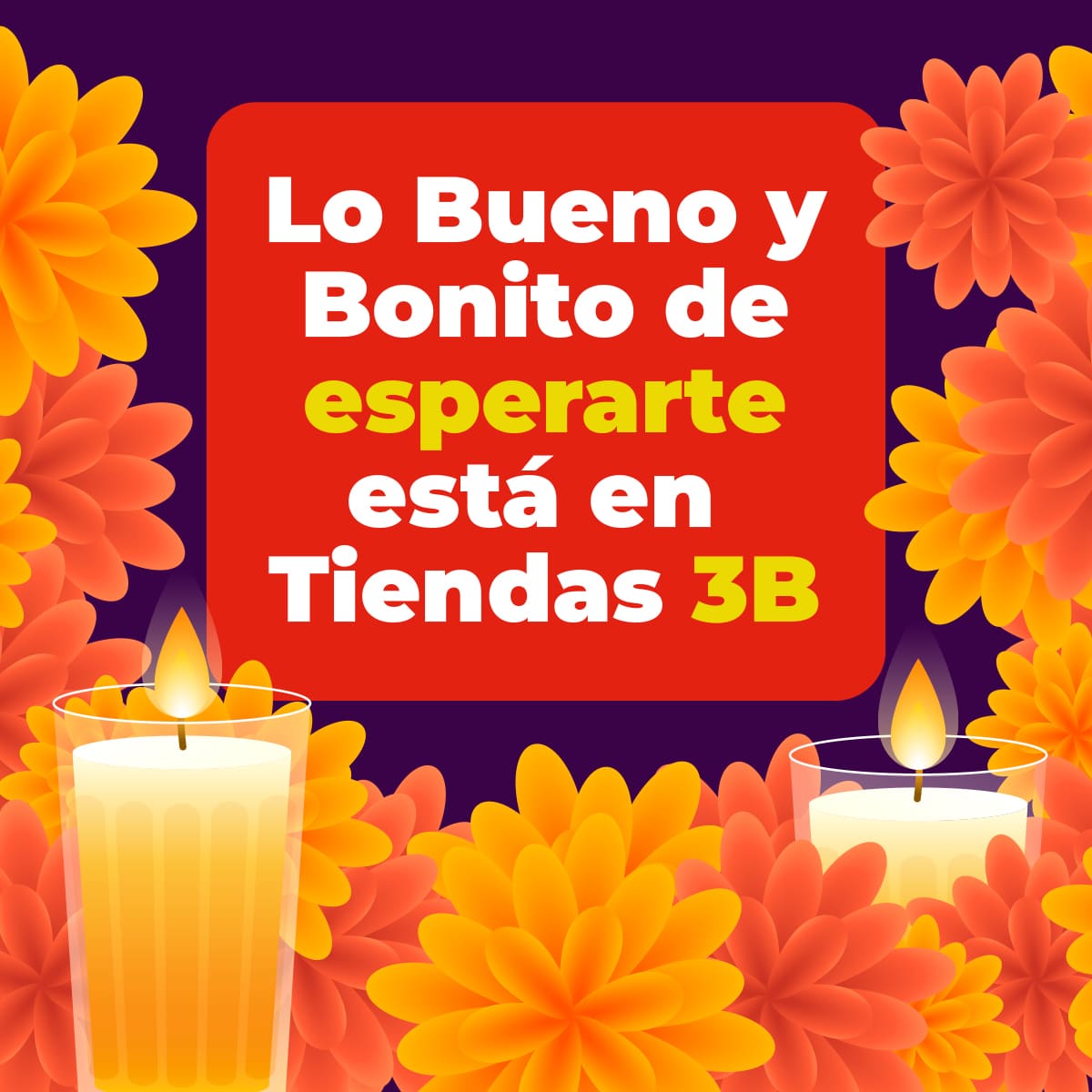 banner-home-mobile-oct