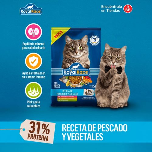 Royal-Race-Gatos_02