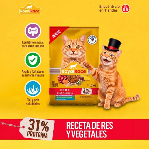Royal-Race-Gatos_03